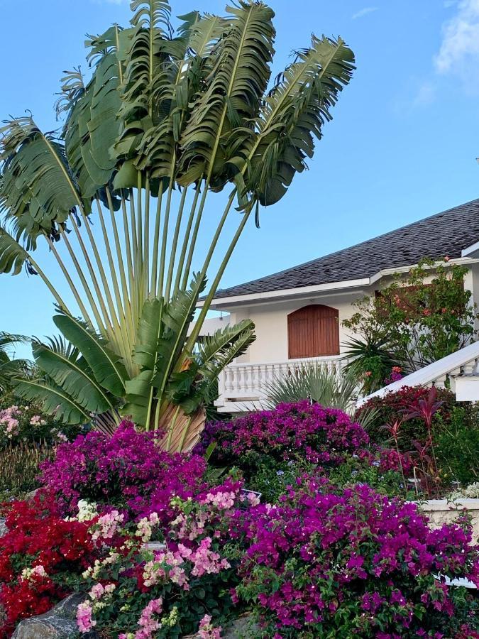 Résidence de tourisme Domaine Saint-François Exterior foto