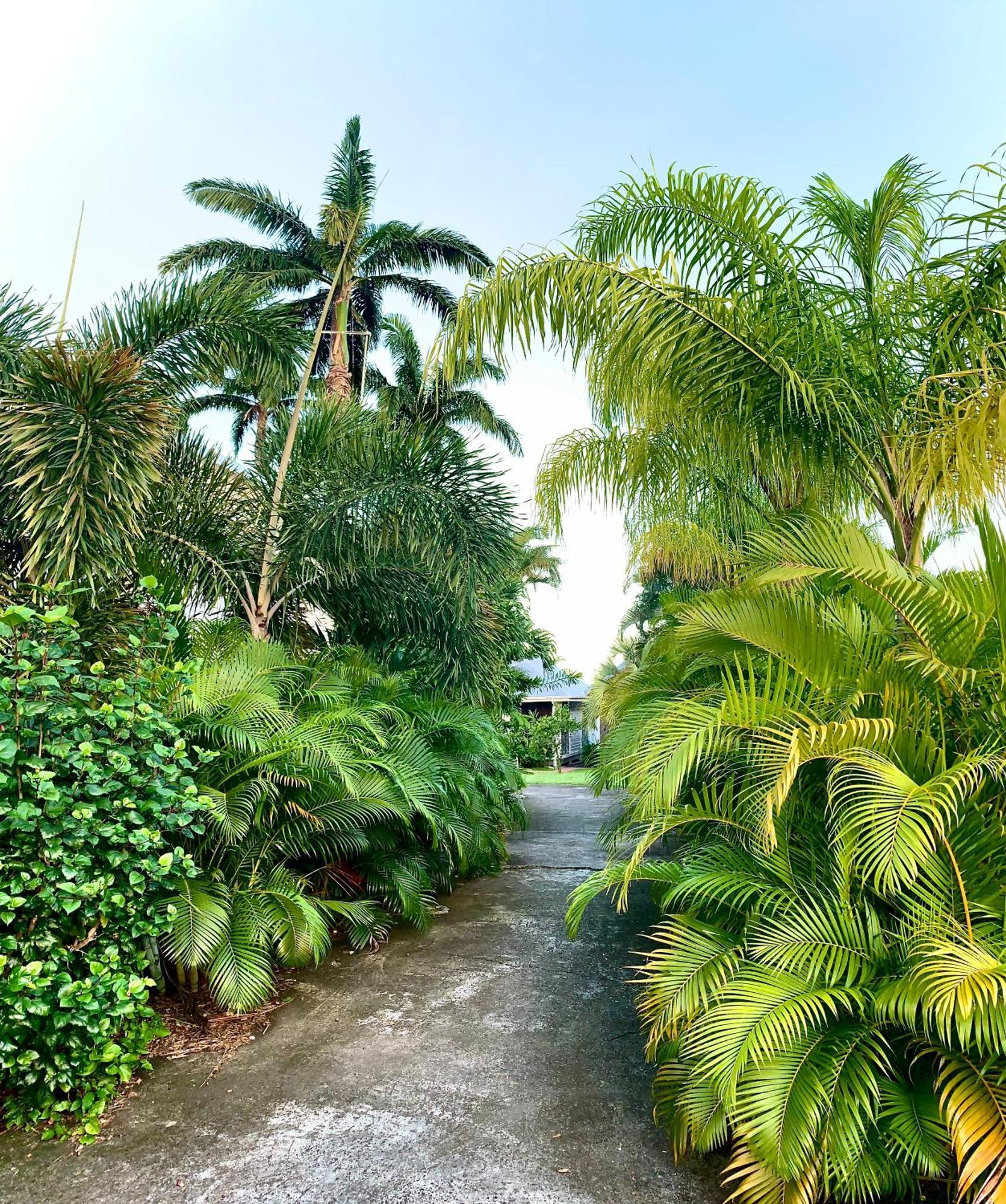 Résidence de tourisme Domaine Saint-François Exterior foto